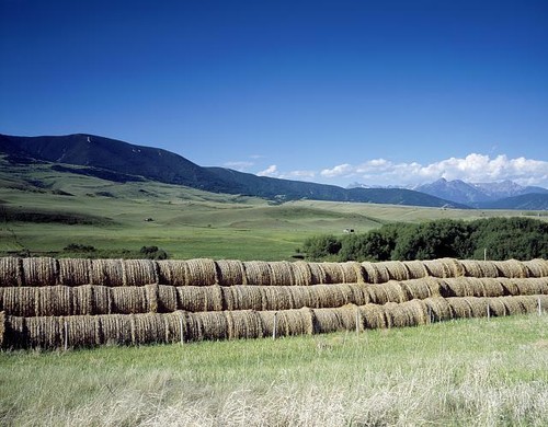 Photo eastern montana hay - montana,